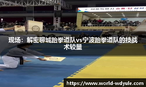 现场：解密聊城跆拳道队vs宁波跆拳道队的技战术较量